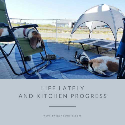 Farmhouse Kitchen Progress & Life Lately