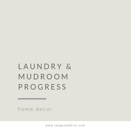 Laundry and Mudroom Progress