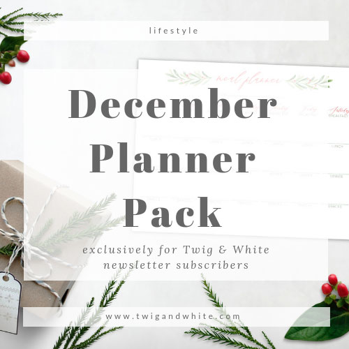 December Planner Pack – Newsletter Subscribers