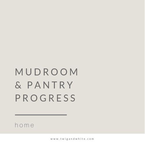 Mudroom & Pantry Progress