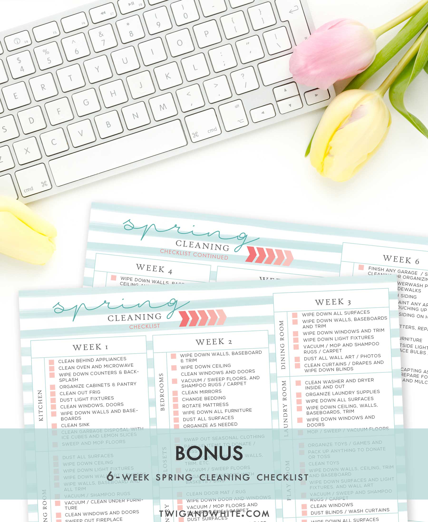 bonus-spring-cleaning-checklist