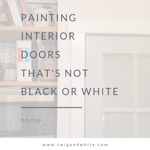 Interior Door Paint Color that’s not Black or White