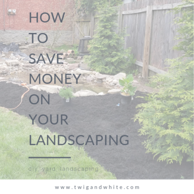 How to Save Money on Your Landscaping