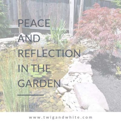 Peace and Reflection in the Garden