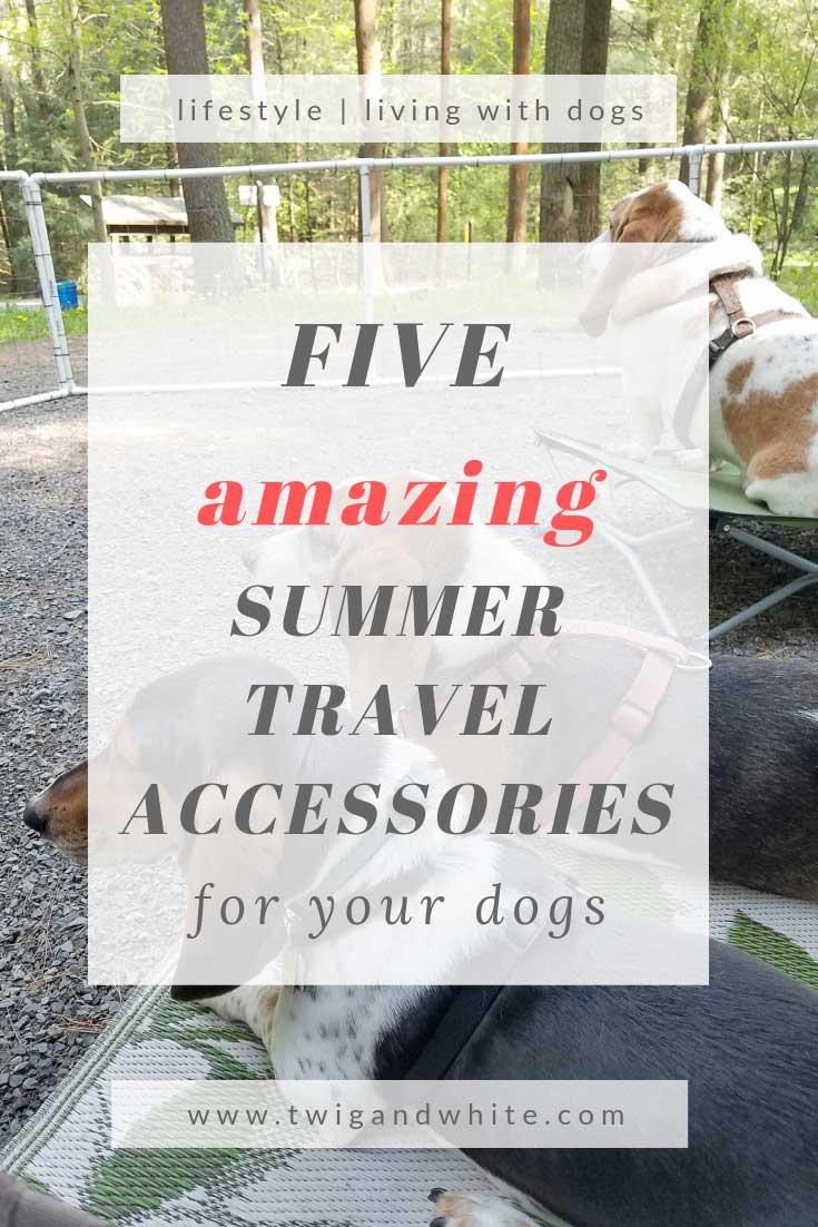 five amazing summer travel accessories for your dogs