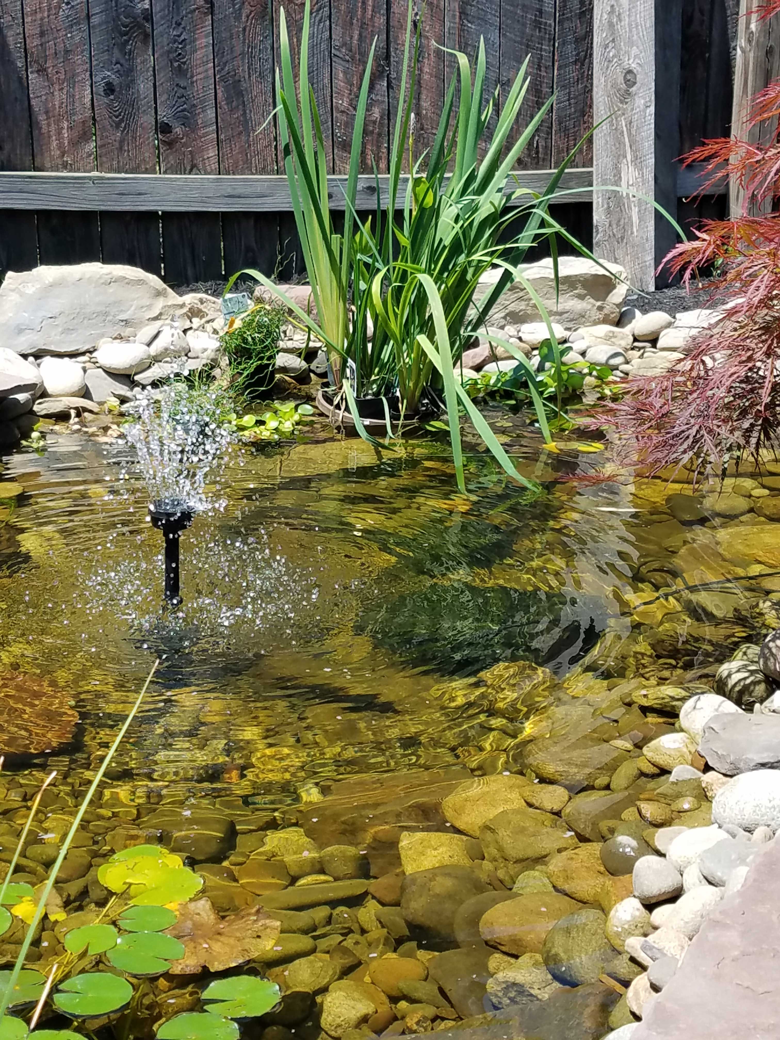 pond fountain