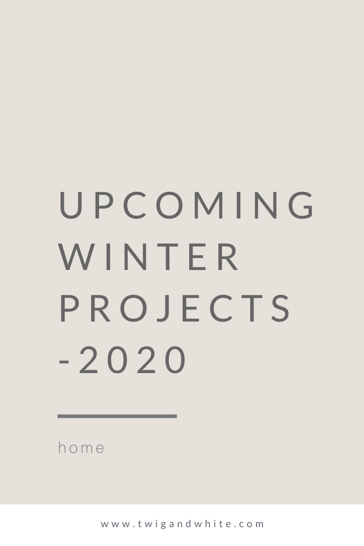 upcoming-winter-projects-2020