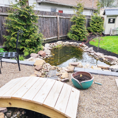 Recent Backyard Updates and Future Plans