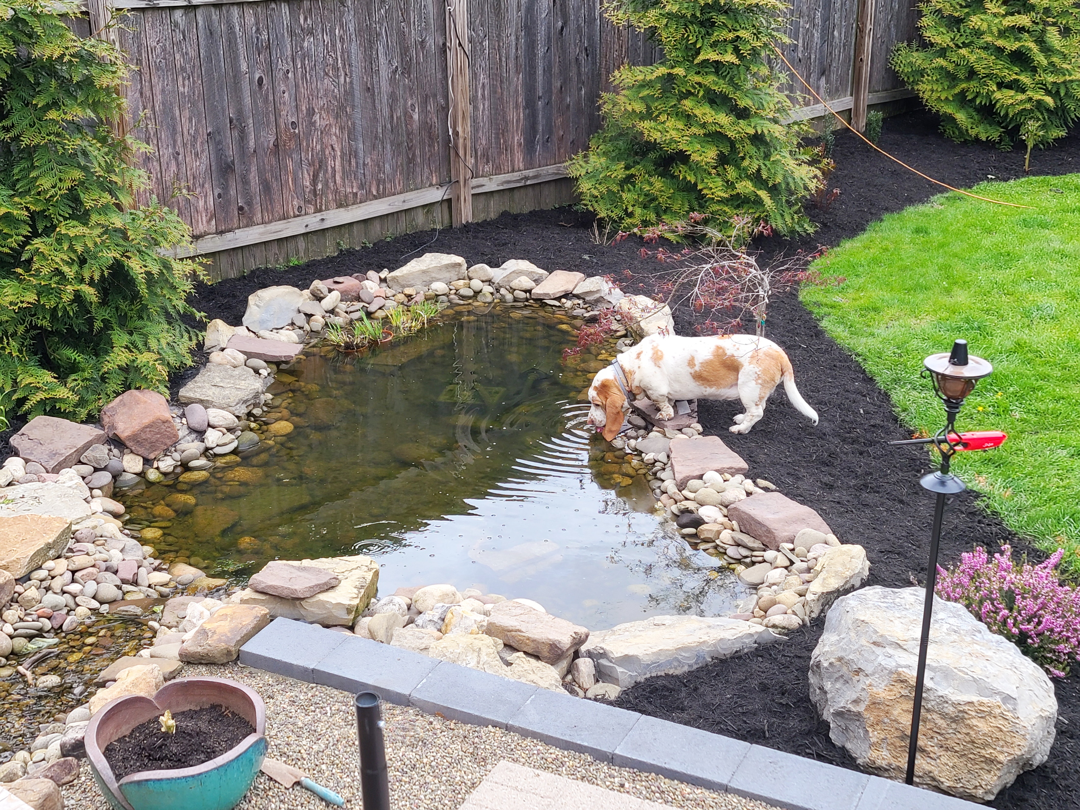 backyard-projects-10