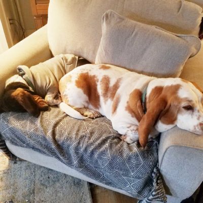 Life in Uncertain Times