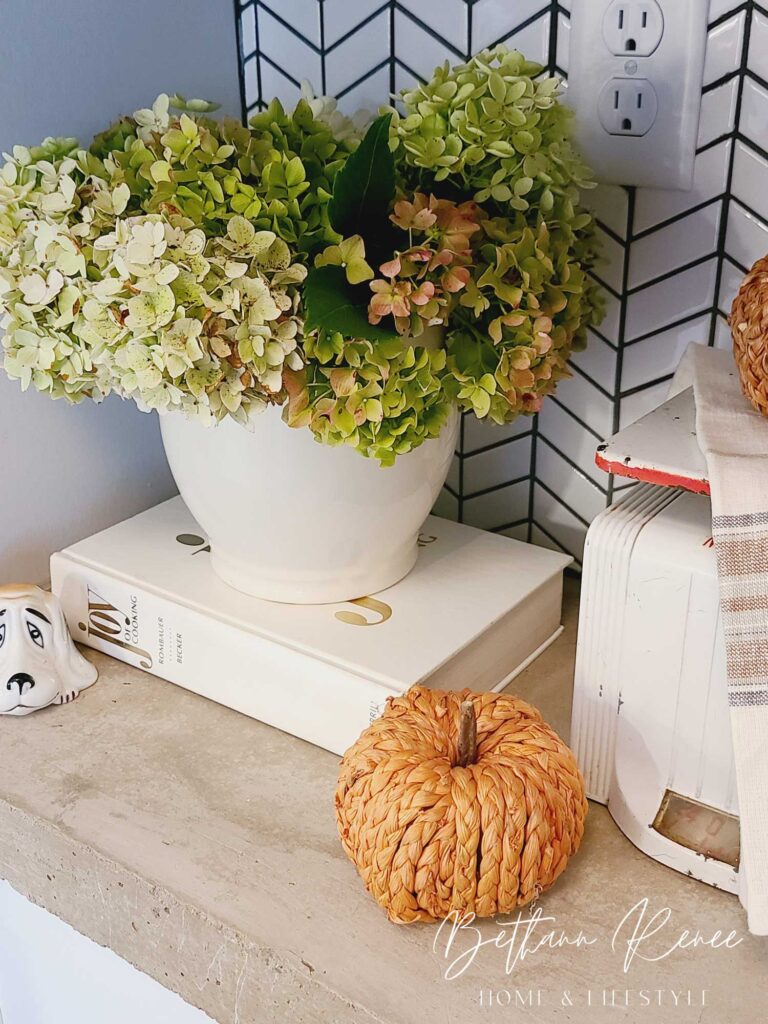 simple natural early fall vignette