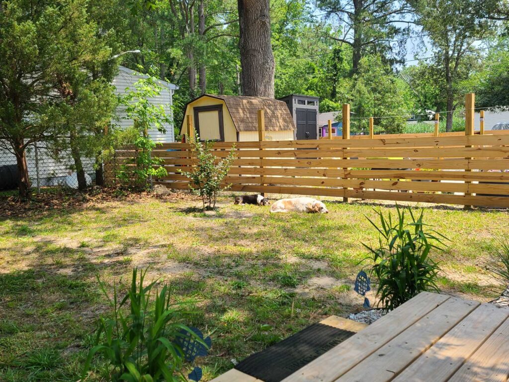 beach house backyard progress