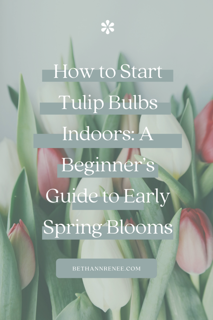 How to Start Tulip Bulbs Indoors: A Beginner’s Guide to Early Spring Blooms