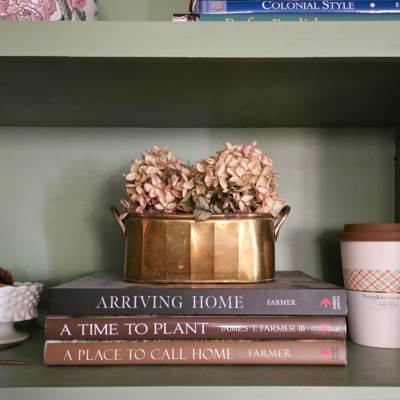 A Gentle Beginning: My Vision for 2026