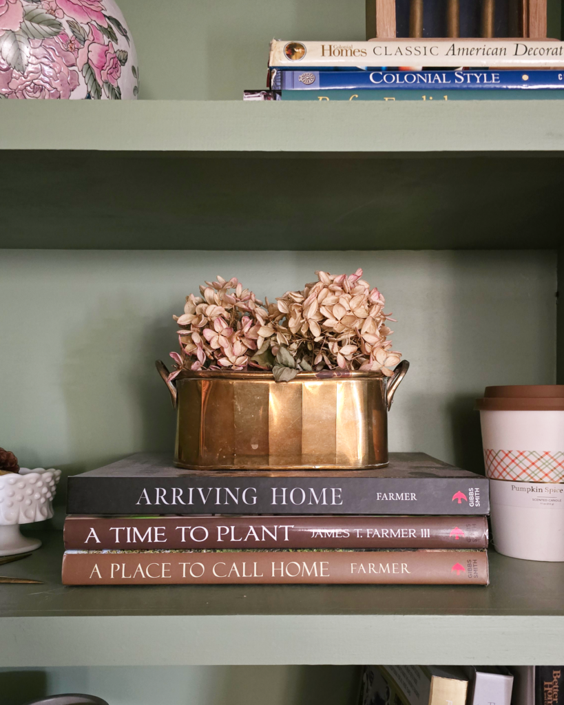 Our Living Room Bookshelves Reveal – A Cozy, Collected Library-Inspired Space