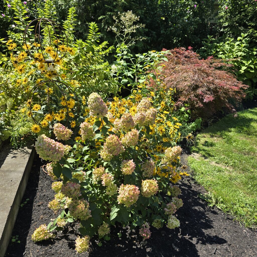 Simply Beautiful Life Vol 1