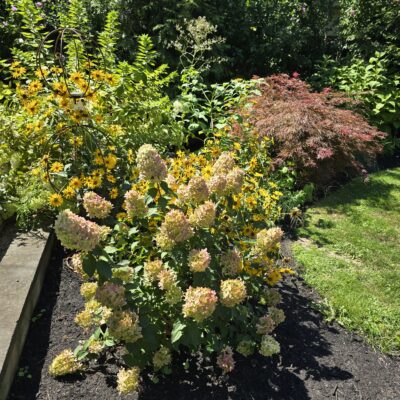 The Simply Beautiful Life | Vol. 1