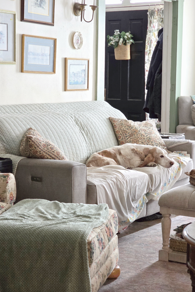 There’s something about a cottage-inspired home that instantly feels welcoming. Maybe it’s the layers of soft fabrics, the warm glow of a lamp in the corner, or the way everyday items are displayed with charm. To me, “cozy” doesn’t mean cluttered — it means creating a space where you can truly relax and enjoy the simple beauty of home. Over the years, I’ve discovered a few essentials that always make our home feel inviting and comfortable. These cozy touches are timeless, affordable, and easy to add no matter the size or style of your home. 🛋 Soft Layers & Textiles Nothing says cozy like a stack of pillows and a throw draped over the sofa. I love mixing neutral tones with subtle patterns — florals, stripes, or checks — to create that layered, collected look. In bedrooms, a quilt or coverlet at the foot of the bed adds both charm and warmth. Image Suggestion: Wide shot of your living room sofa with throws and pillows layered. Pin-worthy vertical image. 🕯 Warm Lighting Overhead lighting can feel harsh, so I rely on lamps, sconces, and even candles to create a warm glow. A cottage-inspired home shines with layered lighting — the soft glow of a lamp in the evening makes a room instantly more inviting. Image Suggestion: Close-up of a side table with a lamp, book stack, and candle burning. 🌿 Natural Elements Fresh flowers in simple vases, a basket by the door, a vintage wooden bowl — natural elements bring warmth and texture to a cottage home. Even faux greenery works if you mix it thoughtfully. Image Suggestion: Seasonal arrangement on your entryway table or kitchen counter (sunflowers, hydrangeas, or eucalyptus in fall). 📚 Personal Touches Books, artwork, and vintage finds tell your story. A stack of well-loved novels, a thrifted oil painting, or a collection of blue-and-white dishes make a space feel lived in and personal. Cozy isn’t about buying new — it’s about surrounding yourself with what you love. Image Suggestion: Styled bookcase or coffee table vignette with books + art + personal accents. 🧺 Comfort Underfoot Rugs are one of the easiest ways to add coziness to a room. I love mixing a natural jute or sisal rug with a smaller patterned rug layered on top. It adds instant warmth and that collected, cottage feel. Image Suggestion: Angle of your living room or bedroom showing layered rugs. 🍵 Kitchen Comforts A cozy home isn’t complete without the kitchen. For me, it’s having a favorite mug for my morning coffee, simple linen towels, and a candle flickering while I cook dinner. These small details make the everyday feel special. Image Suggestion: Coffee setup with mugs + candle + linen towel. Conclusion At the end of the day, creating a cozy cottage-inspired home isn’t about following strict rules. It’s about layering soft textures, adding warm light, and filling your rooms with pieces that feel personal and meaningful. These cozy essentials are what make our house feel like home — and I hope they inspire you to create the same in your space.