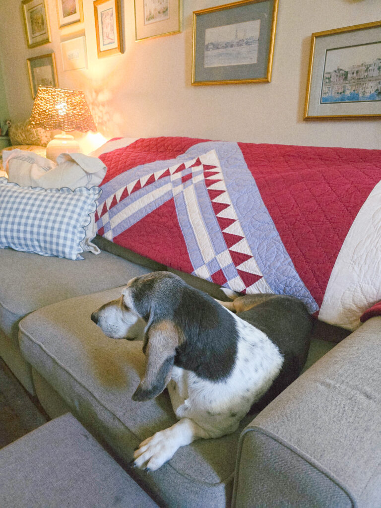 What I've Thrifted Lately (and How I'm Using It in Our Home)